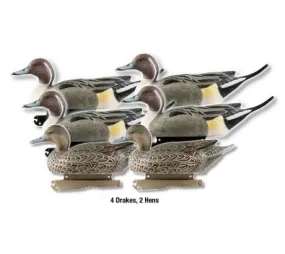 Avery Outdoors Greenhead Gear Life-Size Duck Decoy Pintails 1/2 Dozen