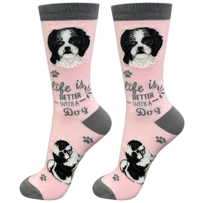 Cool Socks Black Shih Tzu